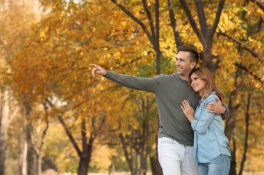 Sonbahar parkta yürümek kadar kolay mutlu güzel çift