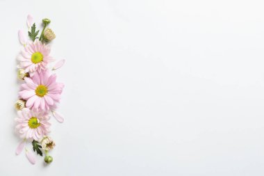 Metin için yer ile güzel papatya çiçeği, düz beyaz arka plan üzerinde göklere