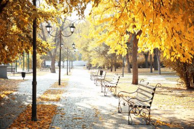 Sonbahar Park güneşli güzel manzara