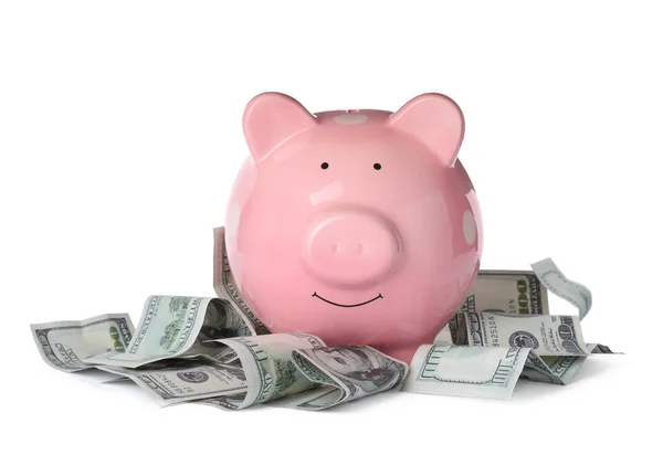 Piggy Bank Money Isolated White — Stock Photo, Image