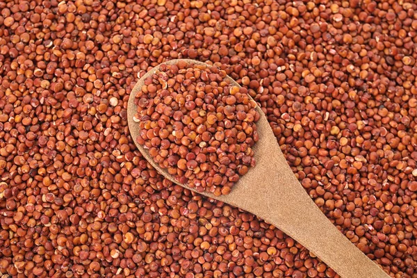 Rohe Rote Quinoa Samen Mit Löffel Als Hintergrund Ansicht Von — Stockfoto
