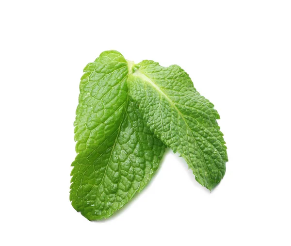 Dvě Vlhké Zelené Listy Izolované Bílém — Stock fotografie