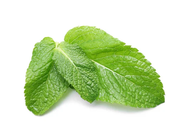 Drei Nasse Grüne Blätter Isoliert Auf Weiß — Stockfoto