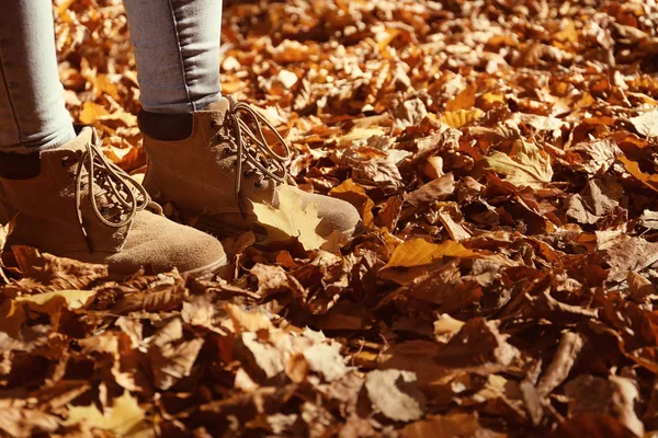 Woman standing on ground covered with fallen autumn leaves. Space for text