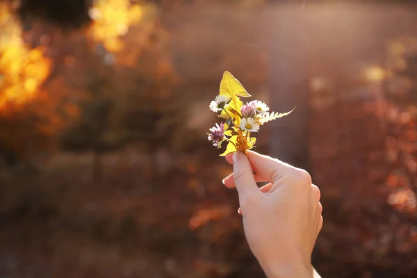 Frau Mit Wilden Blumen Der Hand Auf Verschwommenem Sonnigem Hintergrund — Stockfoto