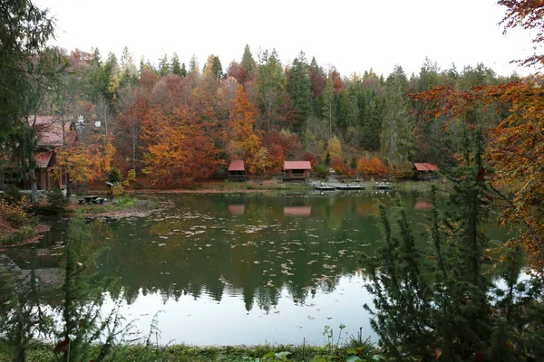 Beautiful landscape with forest and houses near lake. Camping season