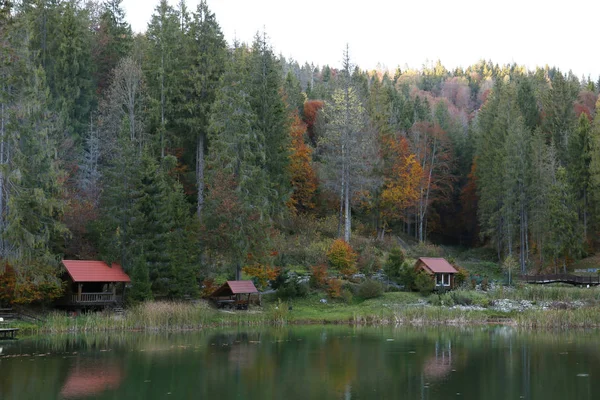 Bela Paisagem Com Floresta Casas Perto Lago Temporada Acampamento — Fotografia de Stock