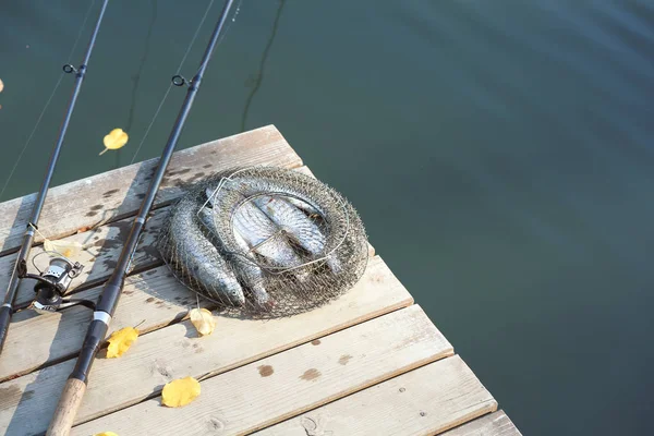 池塘附近的木码头上有钓鱼竿和新鲜的鱼 文本的空间 — 图库照片