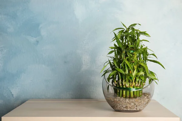 Grüner Bambus Glasschale Auf Holztisch Raum Für Text — Stockfoto