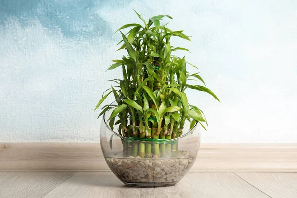Groene Bamboe Glazen Kom Buurt Van Kleur Muur — Stockfoto