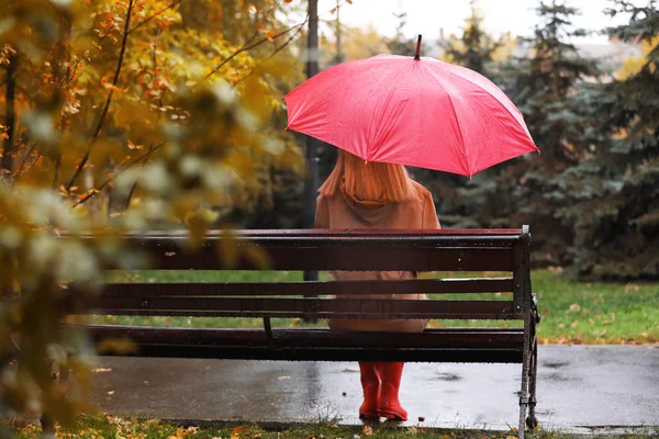 Esernyő Őszi Parkban Padon Ülő Esős Nap — Stock Fotó