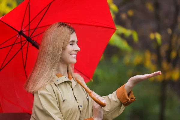 Vrouw Met Paraplu Herfst Park Regenachtige Dag — Stockfoto