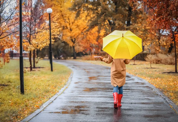 秋の公園で散歩を雨の日に傘を持つ女性 — ストック写真