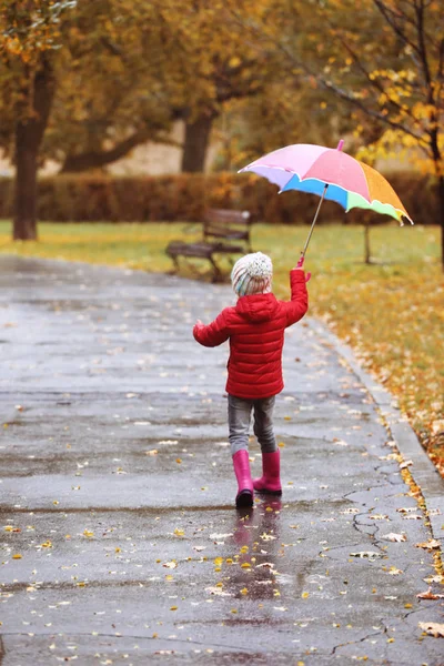 Маленькая Девочка Зонтиком Прогуливается Осеннем Парке Дождливый День — стоковое фото