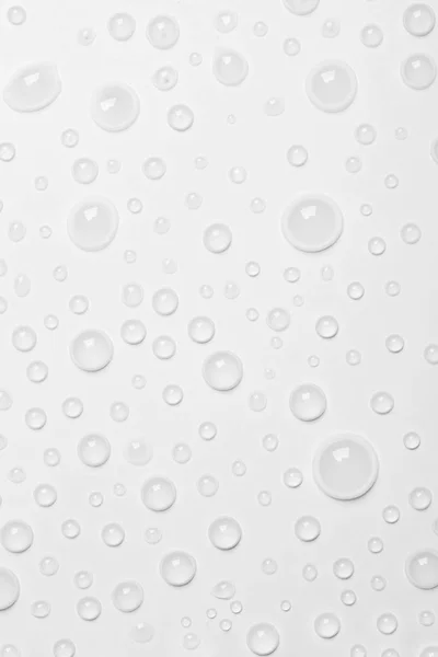 Water drops on white background, top view