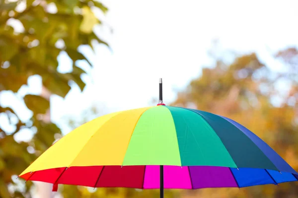 Яркий Цветной Зонтик Открытом Воздухе Защита Дождя — стоковое фото