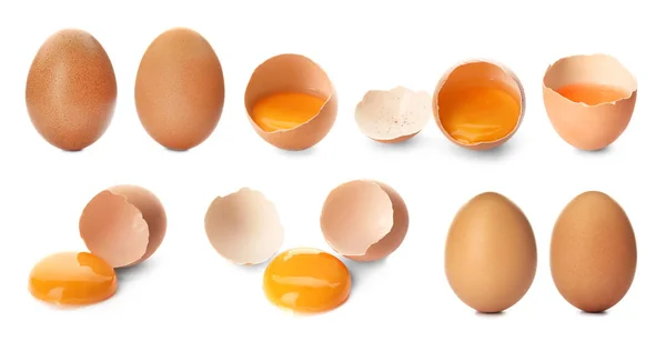 Set Con Huevos Frescos Sobre Fondo Blanco —  Fotos de Stock