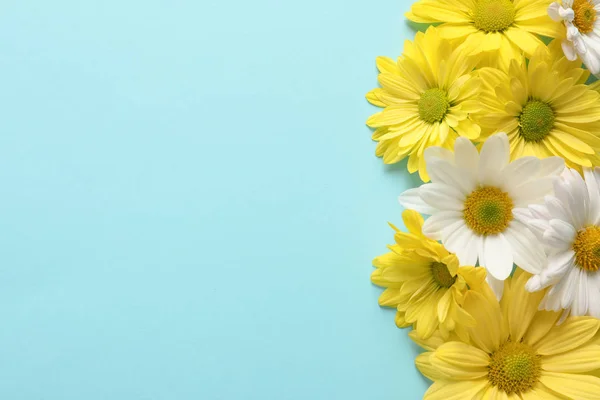 Hermosas Flores Manzanilla Sobre Fondo Color Disposición Plana Con Espacio — Foto de Stock