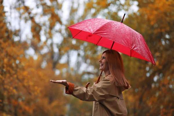 雨の日に秋の公園で傘を持つ女性 — ストック写真