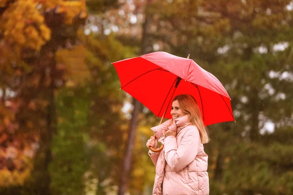 Žena Deštníkem Podzimním Parku Deštivý Den — Stock fotografie