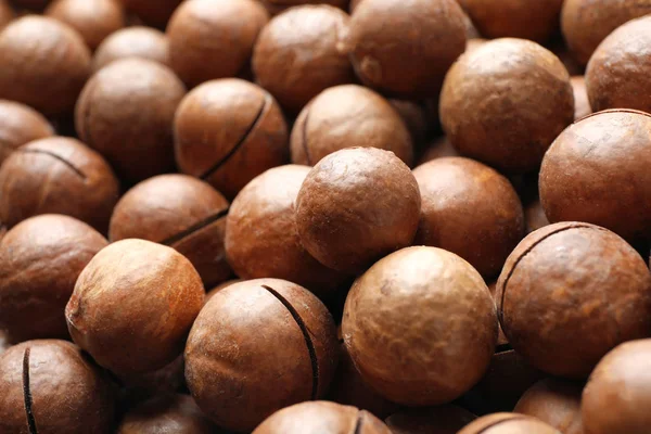 Molte Noci Macadamia Biologiche Come Sfondo Primo Piano — Foto Stock