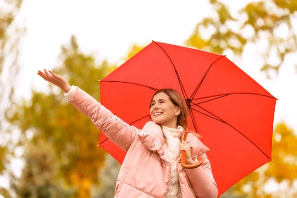 在雨天与伞的妇女在秋天公园 图库图片