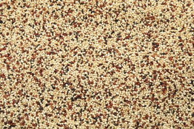 Arka plan, üstten görünüm olarak karışık ham quinoa tohumları