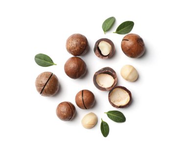 Beyaz arka planda, üstten görünüm organik Macadamia fıstığı ile kompozisyon