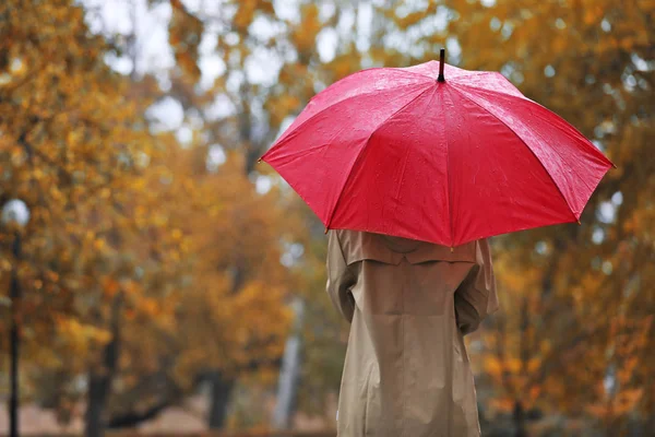 雨の日に秋の公園で傘を持つ女性 — ストック写真