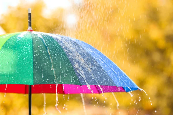 Helle Farbe Regenschirm Unter Regen Freien Nahaufnahme — Stockfoto