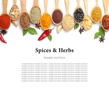 Set of different spices and herbs with space for text on white background, top view clipart