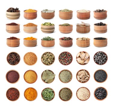 Ahşap kase farklı baharatlar ve otlar üzerinde beyaz arka plan ile. Büyük koleksiyon