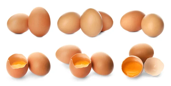 Set Con Huevos Frescos Sobre Fondo Blanco —  Fotos de Stock