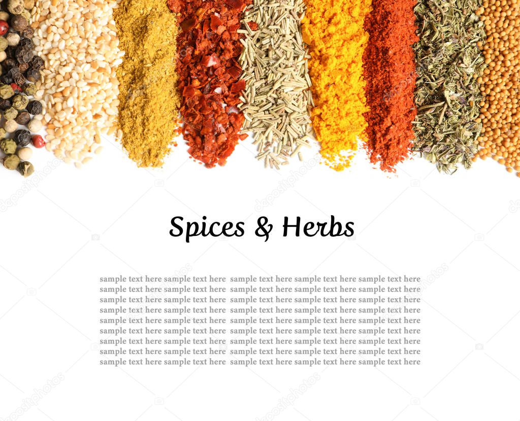Set of different spices and herbs with space for text on white background