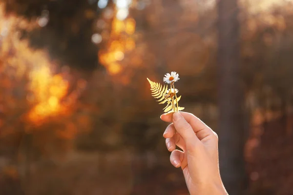 Frau Mit Wilden Blumen Der Hand Auf Verschwommenem Sonnigem Hintergrund — Stockfoto