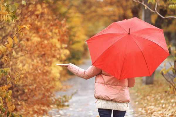 雨の日に秋の公園で傘を持つ女性 — ストック写真