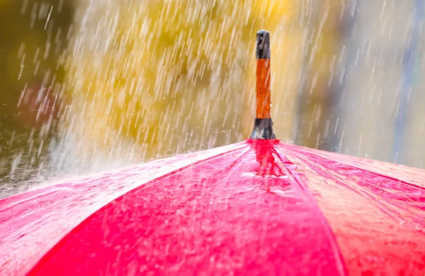 雨の屋外で クローズ アップの下で明るい色の傘 — ストック写真
