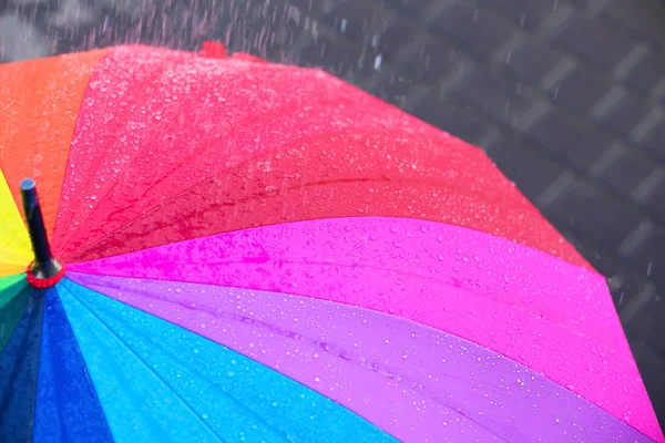 Φωτεινό Χρώμα Ομπρέλα Υπό Βροχή Εξωτερικούς Χώρους Κοντινό Πλάνο — Φωτογραφία Αρχείου
