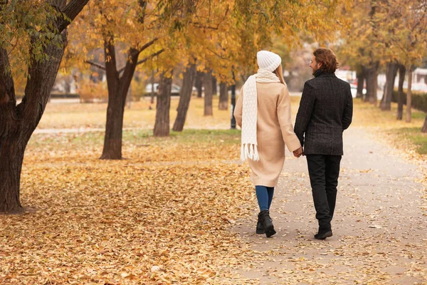 Pareja Romántica Joven Caminando Parque Día Otoño —  Fotos de Stock