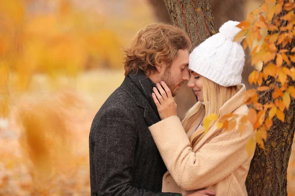 秋天的公园里的年轻浪漫情侣 — 图库照片