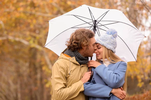 Young romantic couple with umbrella in park on autumn day