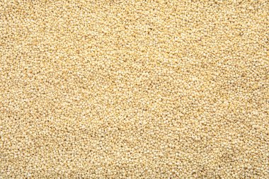 Arka plan, üstten görünüm olarak çiğ beyaz quinoa tohumları