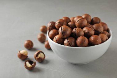 Organik Macadamia fıstığı ve gri arka plan üzerinde metin için yer ile kase