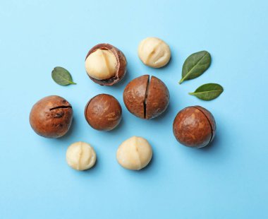 Renk arka plan üzerinde organik Macadamia fıstığı ile düz yatıyordu kompozisyon