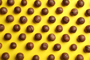Renk arka plan üzerinde organik Macadamia fıstığı ile düz yatıyordu kompozisyon