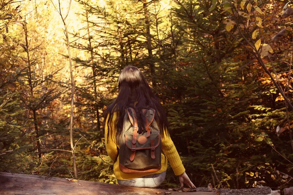 秋の森ログの上に座ってバックパックを持つ女性 — ストック写真