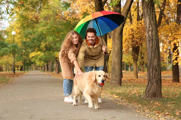 Junges Paar Mit Regenschirm Und Hund Geht Park Spazieren — Stockfoto