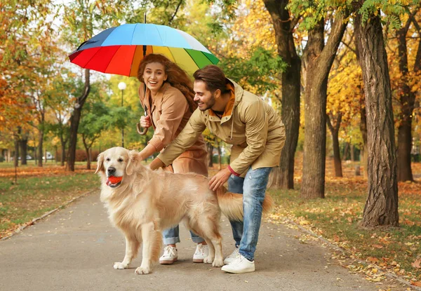 Young couple with umbrella and dog walking in park