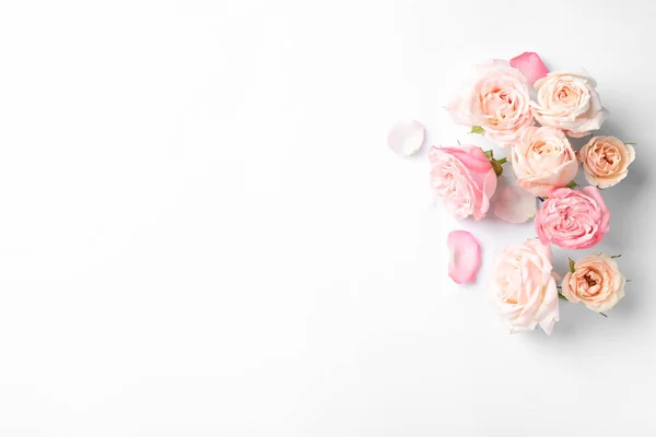 Belle Rose Spazio Testo Sfondo Bianco Vista Dall Alto — Foto Stock