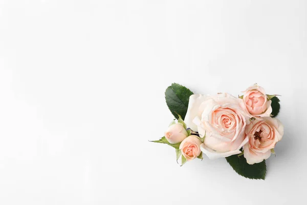 Belles Roses Espace Pour Texte Sur Fond Blanc Vue Dessus — Photo